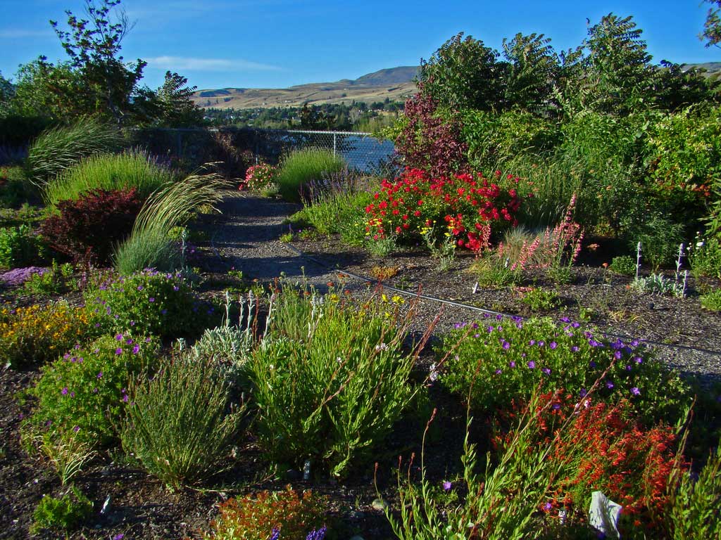 Xeriscaping – Dry Landscaping Going From Freaky to Increasing 
