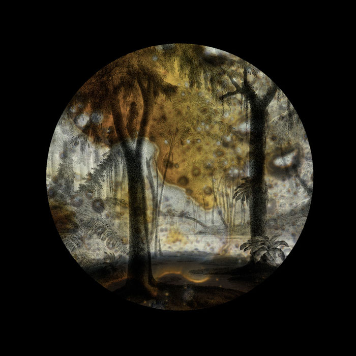 Kristen Baumlier - Crude Oil/ Carboniferous Forest Prints