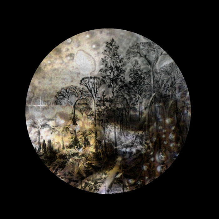 Kristen Baumlier - Crude Oil/ Carboniferous Forest Prints